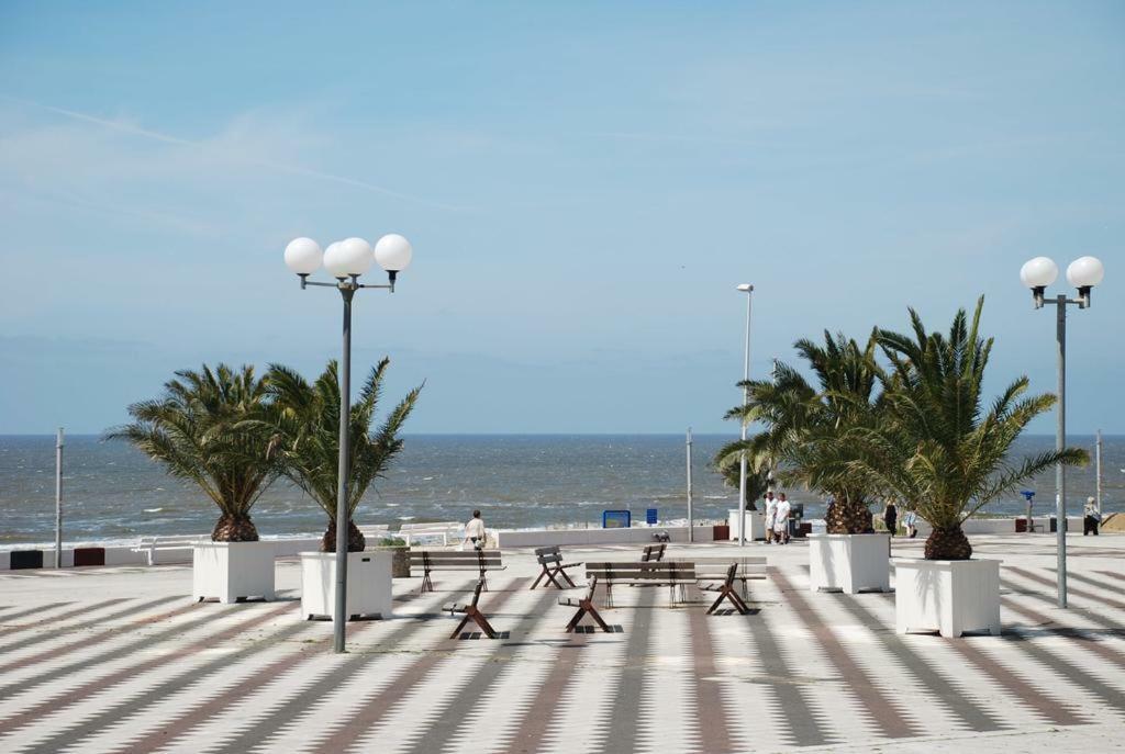 Sunnyzandvoort Εξωτερικό φωτογραφία